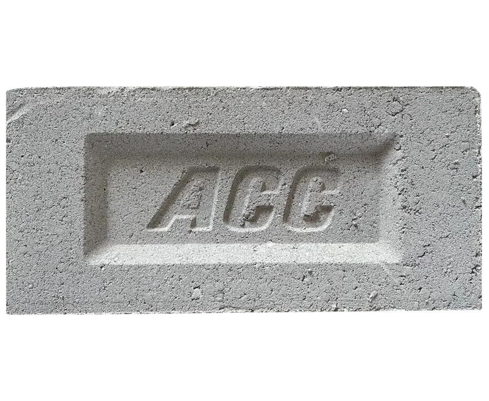 Flyash Bricks
